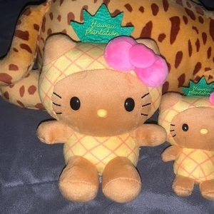 Hawai’i Hello Kitty Plush (the one on the left only)
